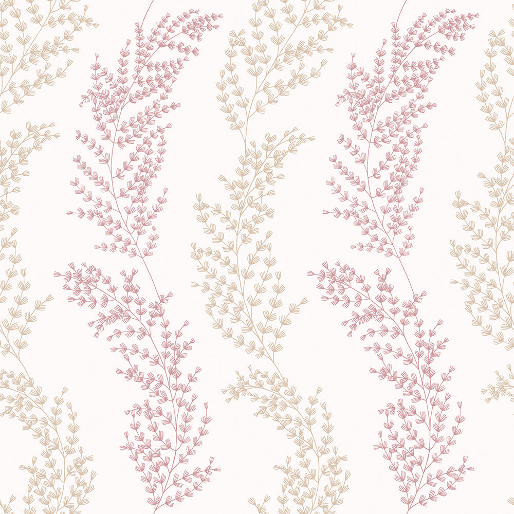 MIMOSA TRAIL Blush Ohpopsi